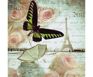 International Graphics - Image prête à l‘accroche - Assaf, Frank - ''Butterfly II''- 30 x 30 cm - Impression directe sur verre acrylique