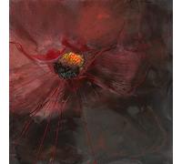 International Graphics - Image prête à l‘accroche - Geneviève, Naudin - ''Deuil éclatant''- 30 x 30 cm - Impression directe sur verre acrylique