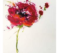 International Graphics - Image prête à l‘accroche - Jan, Griggs - ''Poppy Master on White''- 30 x 30 cm - Impression directe sur verre acrylique