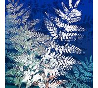 International Graphics - Image prête à l‘accroche - Mira - ''Silver''- 30 x 30 cm - Impression directe sur verre acrylique