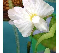 International Graphics - Image prête à l‘accroche - Renate M., Schmidt - ''Filigrane Welt''- 30 x 30 cm - Impression directe sur verre acrylique