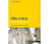 International Human Rights Law (Paperback)