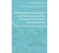 International Organisations, Non-State Actors, And The Formation Of Customary International Law