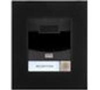 Interphone IP Solo sans Caméra Noir - 9155301BF - 2N