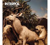 Interpol - Our Love to Admire