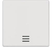 Interr Basc Av Fenê Ss Lampe Néon Titane