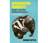 Interrupted Journeys: Badgers and Other Roadside Distractions
