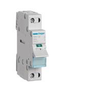 Interrupteur 1P 32A - COMMANDE SIGNAL HAGER SBN132