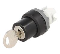Interrupteur 1SFA611281R1001 : interrupteur rotatif avec clé tige 22 mm.Pos...