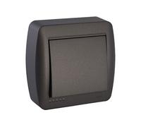 - Interrupteur 2 pôles en saillie - Noir graphite