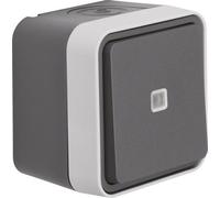 Interrupteur à bascule Berker 30763525 Interrupteur d'installation IP55...