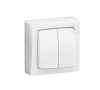 Interrupteur à bascule double à montage en saillie Legrand 10A, 1 module, avec cadre, blanc, 1 pièce