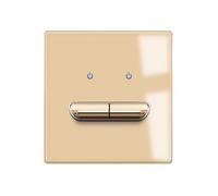 Interrupteur à bascule en verre plaqué or avec indicateur LED ; prise murale, 5 V 2,1 A, AC110-250 V.(2 Gang 1 Way)