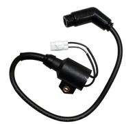 Interrupteur À Clé D'allumage Pour Polaris 300 Pour Hawkeye 300 2X4 4X4 2006 2007 2008 2009 2010 2011 Bobine D'allumage 3089860 3089910