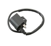 Interrupteur À Clé D'allumage Pour Suzuki LTZ50 Quadsport 90 2x4 LTZ90 ATV LT-Z50 Bobine D'allumage Scooter 33410-36G00