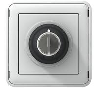 Legrand 069534 Interrupteur à Clé Étanche Ronis N°455 2 Positions Plexo Composable IP55, 3A, 250V, Gris