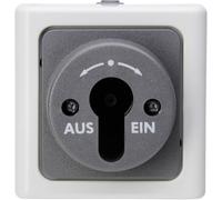 Interrupteur à clé Kopp 561756017 BlueElectric gris