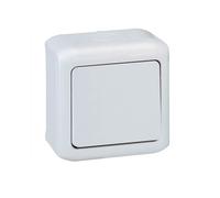 Interrupteur à tige simple 10A pour Forix LeGrand montage extérieur - Gris