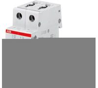Interrupteur Automatique 6KA 2P - ABB S202 / C40