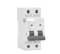 Interrupteur automatique Disjoncteur Gym9-125 MCB 2p 80A 100A 125A AC C. Courbe Mini Disjoncteur DP MCB Largeur 35.6mm 400V 6ka (Color : 80a, Size : 2 Pole C Curve)