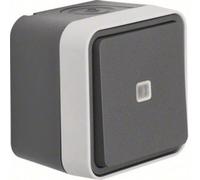 Interrupteur avec témoin lumineux, Interrupteur va-et-vient Berker 31763505 W.1 apparent gris, gris clair