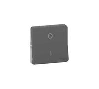 Schneider Electric Interrupteur bipolaire Mureva Styl MUR35034 – composable, IP55, IK08, gris