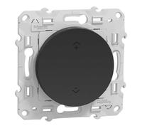 Interrupteur centralisé sans fil - 2 ou 4 BP - Odace - Wiser - S540531 - Schneider - Anthracite