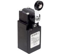 Interrupteur de fin de course Pizzato Elettrica FR 531-M2 250 V/AC 6 A levier pivotant à galet à rappel IP67 1 pc(s)