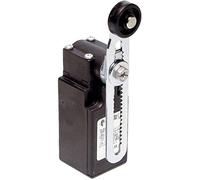 Interrupteur de fin de course Pizzato Elettrica FR 556-M2 250 V/AC 6 A levier pivotant à galet à rappel IP67 1 pc(s)