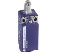 Systèmes d'ASI Schneider Electric XCKP2102P16