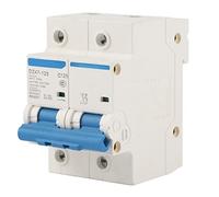 Interrupteur de protection contre les fuites 400 V 80 A 100 A 125 A DZ47 125 Disjoncteur miniature de courant 2P avec protection contre les courts-circuits de surcharge pour la (C125A)