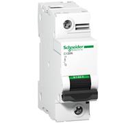 Interrupteur de surintensité 1P B 125A 10kA AC C120N A9N18343