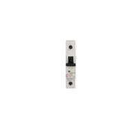 Interrupteur de surintensité 1P C 40A 10kA AC 002131720