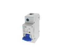 Interrupteur de surintensité M60 1P 1,5M 1F C 80A 6kA 364860