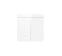 Interrupteur d'éclairage WiFi Smart Home Life 433 MHz sans fil APP commande vocale Work(2gang)