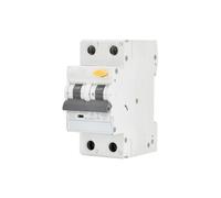 Interrupteur différentiel RCBO 2 pôles 20 A 30 mA type AC, protection contre les surcharges et les courts-circuits, idéal pour installations électriques sûres.