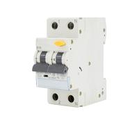 Interrupteur différentiel RCBO 2 pôles, 25 A, 30 mA, type A, protection contre les surcharges et les fuites de courant pour installations électriques.