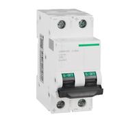 Interrupteur Disjoncteur Miniature Disjoncteur Miniature CC À Énergie Solaire Domestique C65N-DC 1P 2P A9 Type Rail 32A 40A 50A 63A(1P,40A)