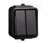 Interrupteur double étanche IP44 noir CEDAR WNT500C05