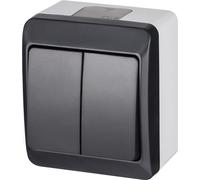 interrupteur en saillie anthracite 5 série 250 V 5332-07 / double interrupteur