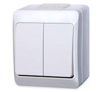 interrupteur en saillie blanc 5 séries 250 V 5332-02 / double interrupteur
