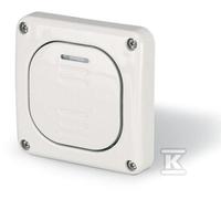 Interrupteur encastré lumière 10AX M95 IP66 gris PROTECTA 137.3311P