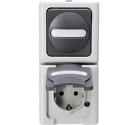 Interrupteur et prise Kopp 130856009 BlueElectric gris