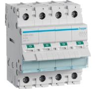 Interrupteur Haupt De Peinture 4 Poly 80 A 4 Modules - HAGER SBN480