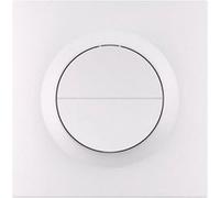 Interrupteur Intelligent Sonoff Double MINI-ZB2GSL-E Zigbee 3.0 Blanc blanc