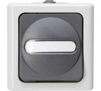 Interrupteur, Interrupteur va-et-vient Kopp 560656006 BlueElectric gris