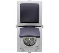 Interrupteur, Interrupteur va-et-vient, Prise 2P+T avec clapet Kopp 138556008