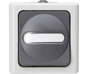 Interrupteur/inverseur Kopp 560756009 BlueElectric gris