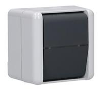 Interrupteur Jung AP 806 W