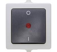 Interrupteur Kopp 565296007 Nautic gris